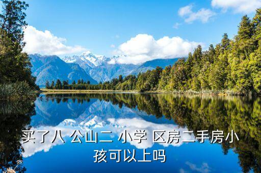 买了八 公山二 小学 区房二手房小孩可以上吗