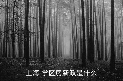 上海 学区房新政是什么