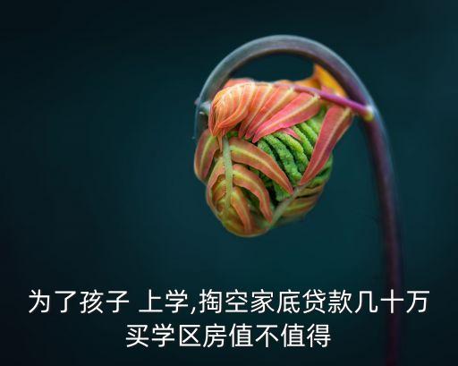 为了孩子 上学,掏空家底贷款几十万买学区房值不值得