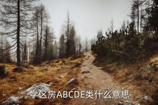  学区房ABCDE类什么意思