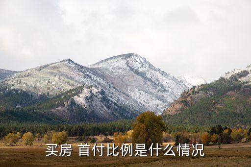 买房 首付比例是什么情况