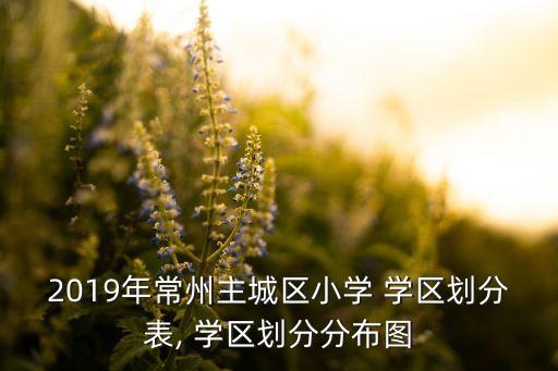 2019年常州主城区小学 学区划分表, 学区划分分布图