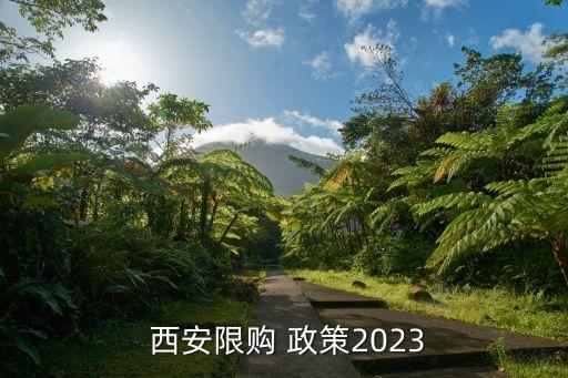  西安限购 政策2023
