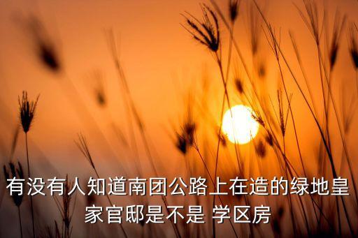 有没有人知道南团公路上在造的绿地皇家官邸是不是 学区房