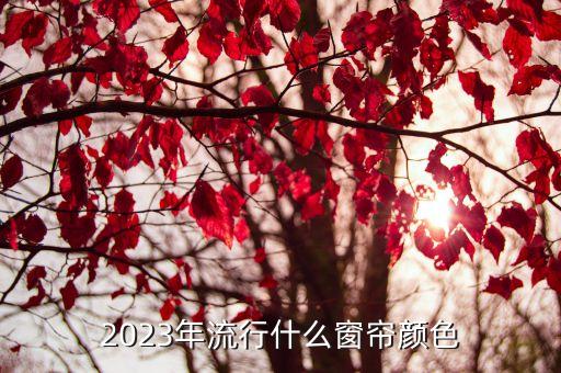 2023年流行什么窗帘颜色