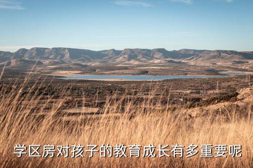  学区房对孩子的教育成长有多重要呢
