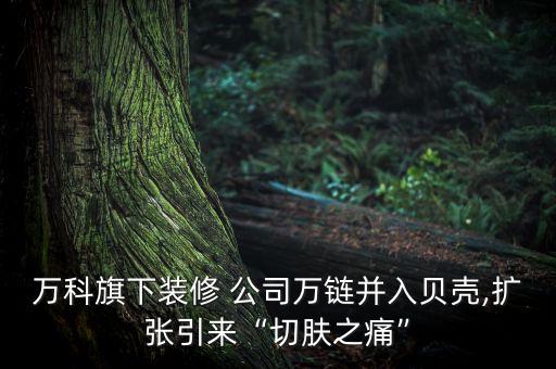 万科旗下装修 公司万链并入贝壳,扩张引来“切肤之痛”
