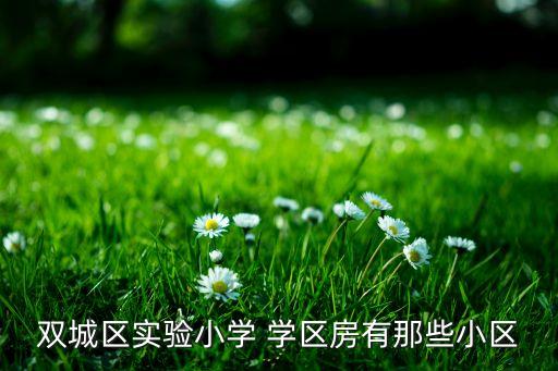 双城区实验小学 学区房有那些小区