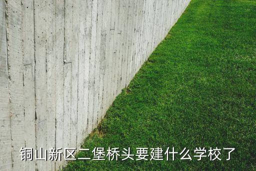 铜山新区二堡桥头要建什么学校了