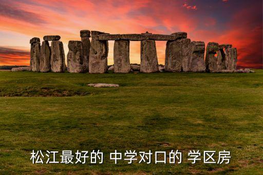 松江最好的 中学对口的 学区房