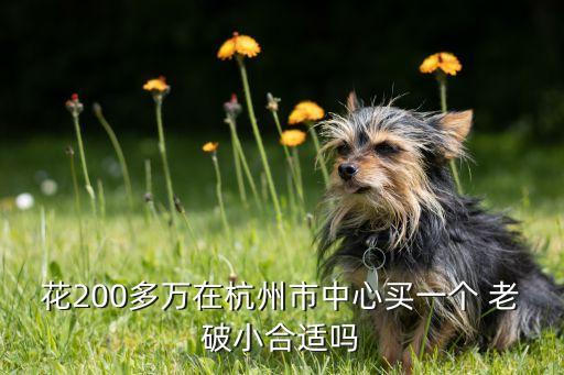 花200多万在杭州市中心买一个 老破小合适吗