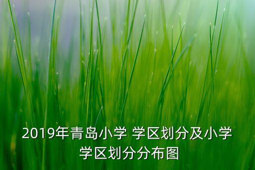 2019年青岛小学 学区划分及小学 学区划分分布图