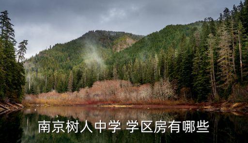 南京树人中学 学区房有哪些