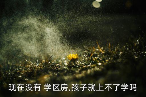 现在没有 学区房,孩子就上不了学吗