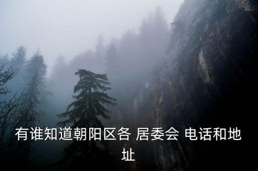有谁知道朝阳区各 居委会 电话和地址
