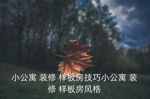 小公寓 装修 样板房技巧小公寓 装修 样板房风格