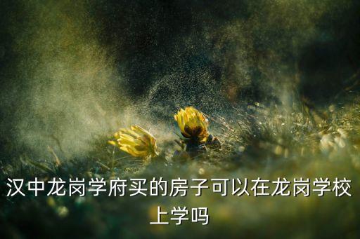 龙岗区有哪些好的学区房,深圳龙岗区学区房小区有哪些?