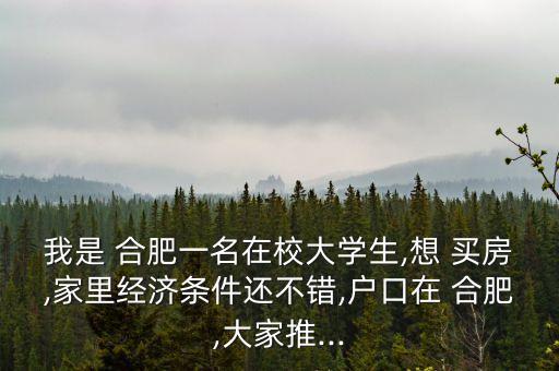 我是 合肥一名在校大学生,想 买房,家里经济条件还不错,户口在 合肥,大家推...