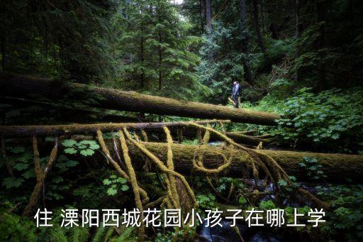 溧阳学区房哪里好卖啊南京,溧阳哪里的学区房最好