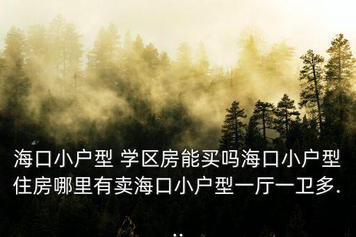 海口小户型 学区房能买吗海口小户型住房哪里有卖海口小户型一厅一卫多...