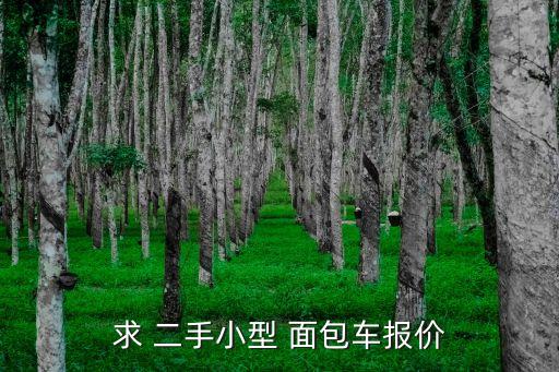 求 二手小型 面包车报价