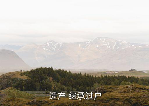  遗产 继承过户