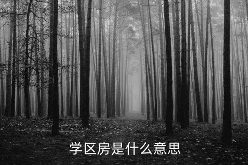  学区房是什么意思