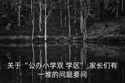 城北双学区房多少钱,六安市城北小学学区房有哪些