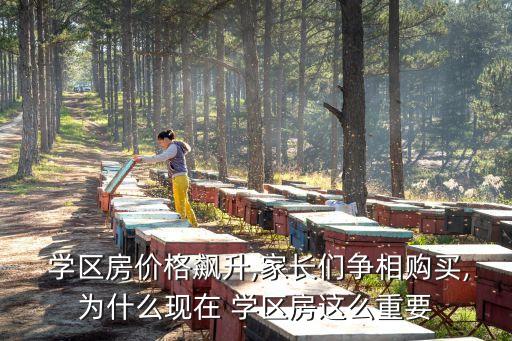  学区房价格飙升,家长们争相购买,为什么现在 学区房这么重要