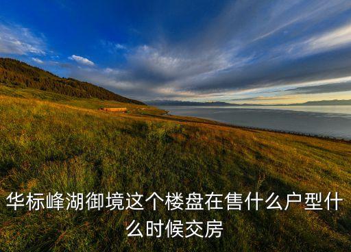 湘潭市岳塘区在售楼盘
