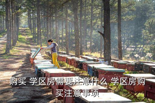 购买 学区房需要注意什么 学区房购买注意事项