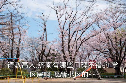 请教高人,济南有哪些口碑不错的 学区房啊,要新小区的~~