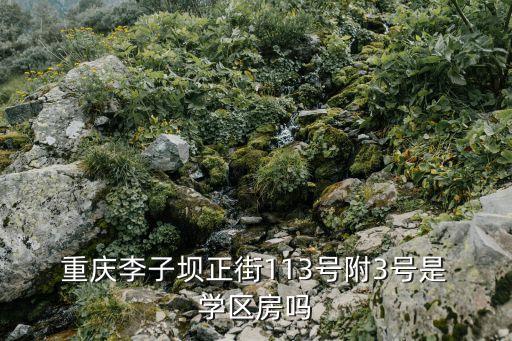 重庆哪里有学区房买,重庆学区房排名一览表