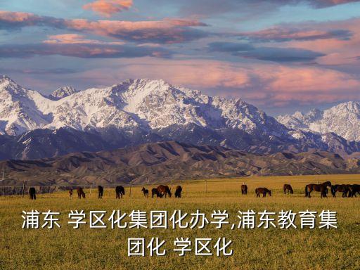 浦东 学区化集团化办学,浦东教育集团化 学区化
