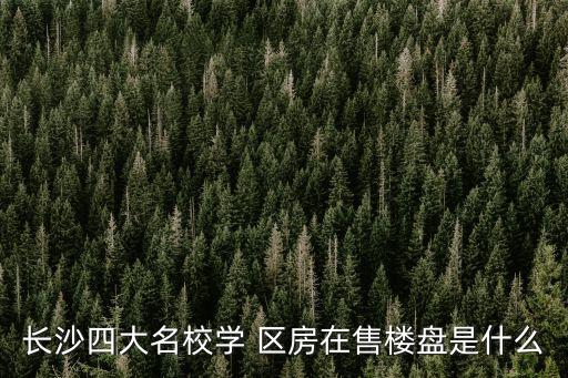 长沙四大名校学 区房在售楼盘是什么