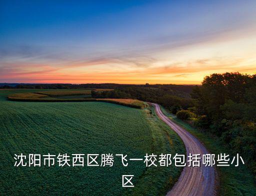  沈阳市铁西区腾飞一校都包括哪些小区