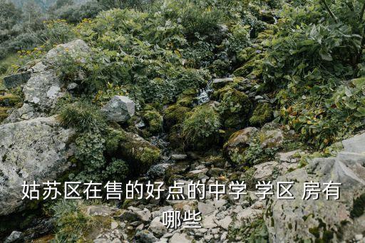 姑苏区在售的好点的中学 学区 房有哪些