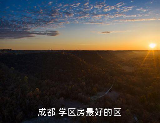 大邑好的学区房有哪些楼盘