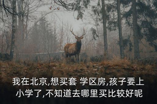 我在北京,想买套 学区房,孩子要上 小学了,不知道去哪里买比较好呢