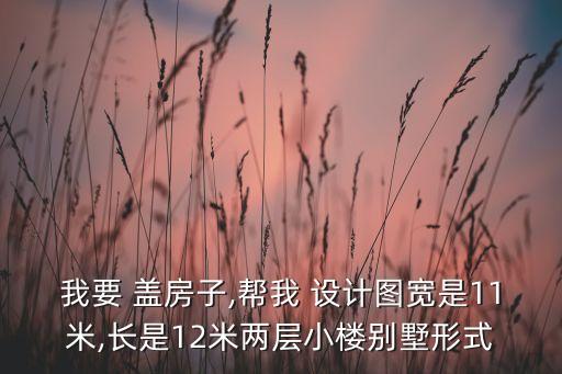我要 盖房子,帮我 设计图宽是11米,长是12米两层小楼别墅形式