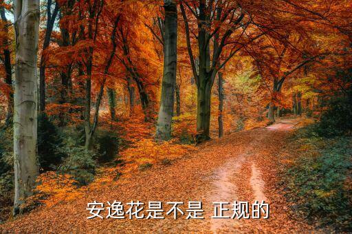  安逸花是不是 正规的
