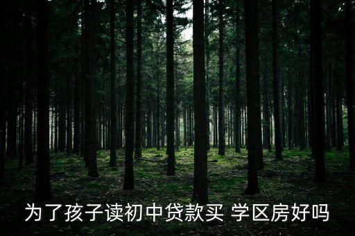高新三初的学区房怎么样,高新四初的学区房有哪些