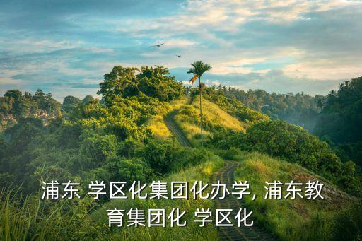  浦东 学区化集团化办学, 浦东教育集团化 学区化