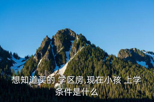 学区房一般多少分上学好,深圳学区房加多少分