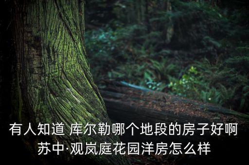 有人知道 库尔勒哪个地段的房子好啊苏中·观岚庭花园洋房怎么样