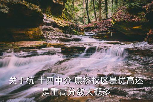 关于杭 十四中分 康桥校区是优高还是重高分数大概多