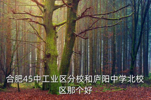 包河好的学区房有哪些