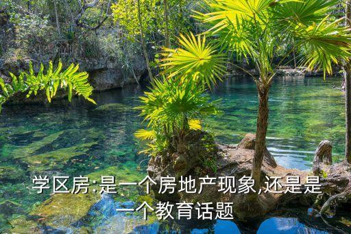 学区房:是一个房地产现象,还是是一个教育话题