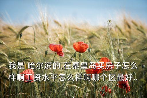 我是 哈尔滨的,在秦皇岛买房子怎么样啊工资水平怎么样啊哪个区最好...