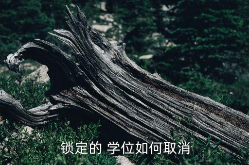 租房学位锁定可以解锁吗,怎么查租房学位是否被锁定?